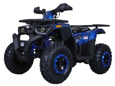 NEW DESERT 200CC UTILITY ATV BLUE