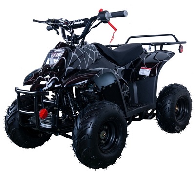 HAWK REX 110CC ATV 6" TIRE BLACK SPIDER